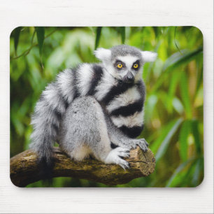 Ring-tailed lemur mouse mat