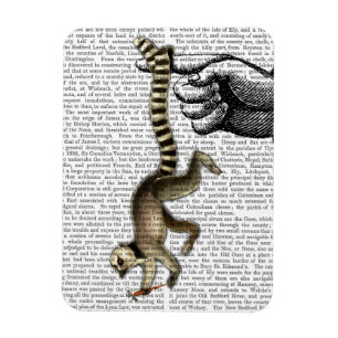 Ring Tailed Lemur on Finger 2 Magnet