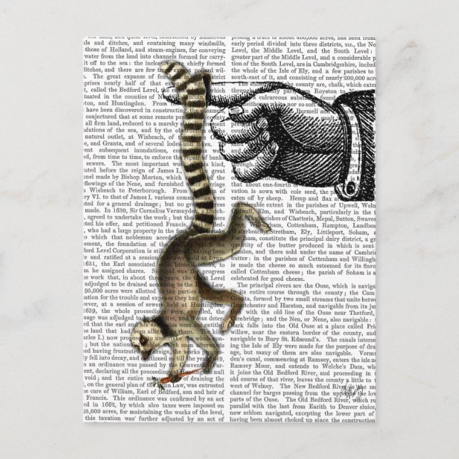 Ring Tailed Lemur on Finger 2 Postcard (Front)