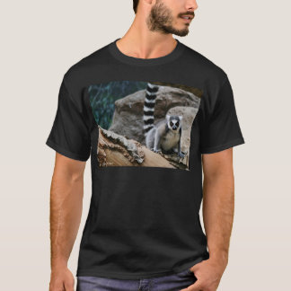 RIng Tailed Lemur T-Shirt