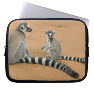 Ring-tailed Lemurs, (Lemur catta), Berenty Laptop Sleeve