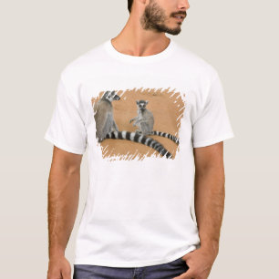Ring-tailed Lemurs, (Lemur catta), Berenty T-Shirt