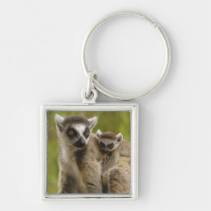 Ring-tailed lemurs (Lemur catta) Mother & baby. Key Ring