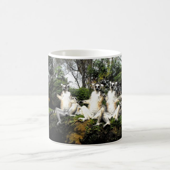 Ring tailed lemurs warming up in Spain Coffee Mug (Center)