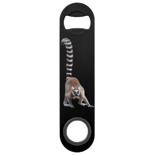 Ring-tiled lemur