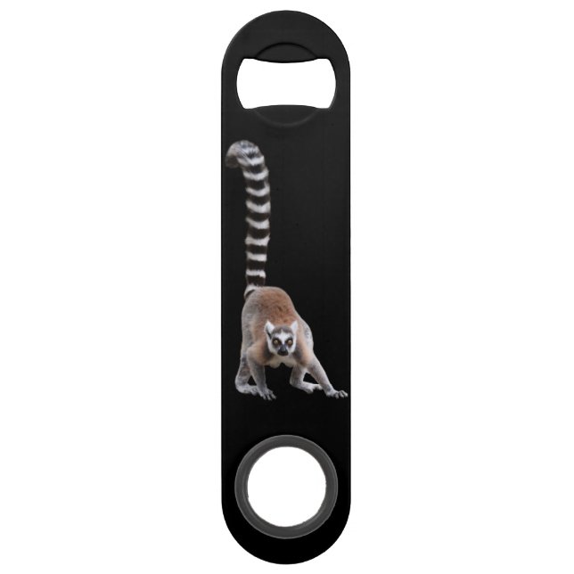 Ring-tiled lemur (Front)