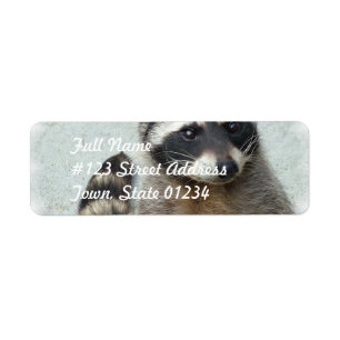 Ringed Racoon  Mailing Labels