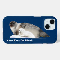 Ringed Seal