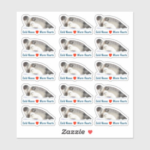 Ringed Seal - Cold Noses Warm Hearts Sticker