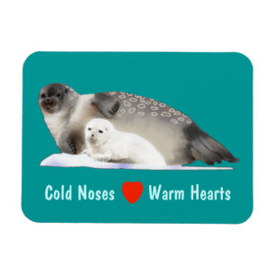 Ringed Seal Magnet