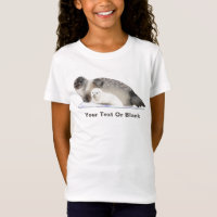 Ringed Seal