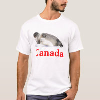 Ringed Seal