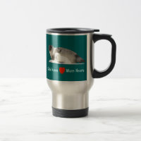 Ringed Seal
