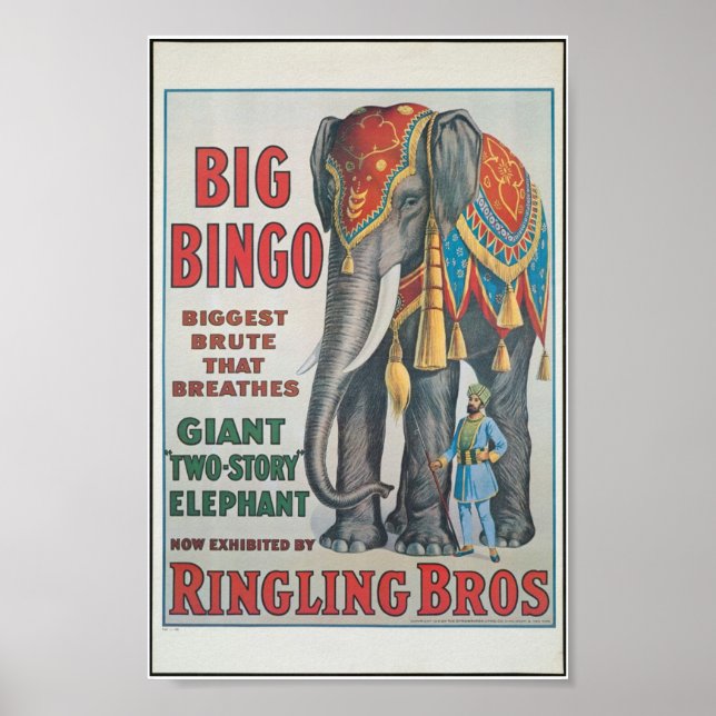 Ringing Bros Big Bingo the elephant Circus Poster (Front)