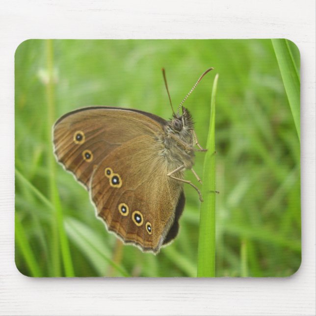 Ringlet Butterfly Mouse Mat (Front)