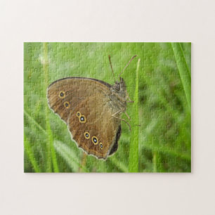 Ringlet Butterfly Photo Puzzle with Gift Box