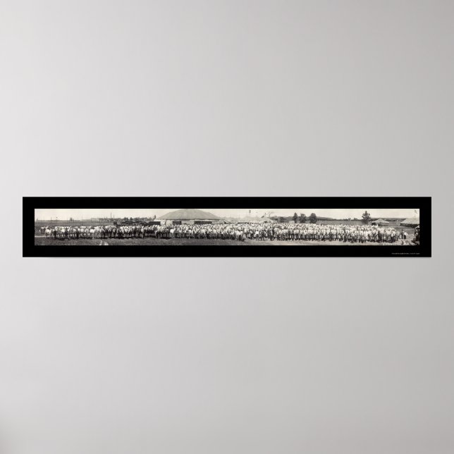 Ringling Bros Horses Photo 1914 Poster (Front)