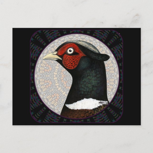 Ringneck Pheasant Circle Postcard (Front)