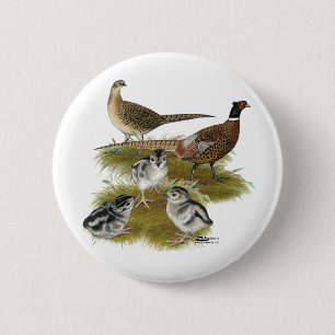 Ringneck Pheasant Family 6 Cm Round Badge