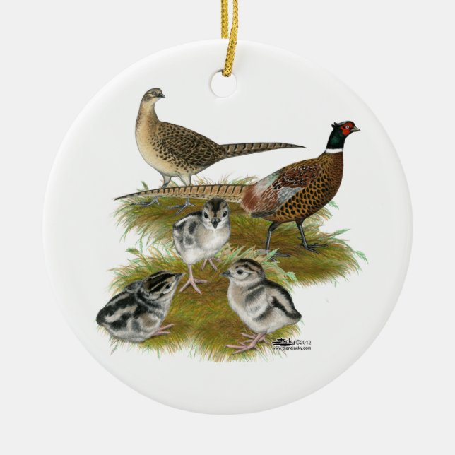 Ringneck Pheasant Family Ceramic Tree Decoration (Front)