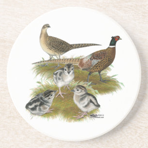Ringneck Pheasant Family Coaster