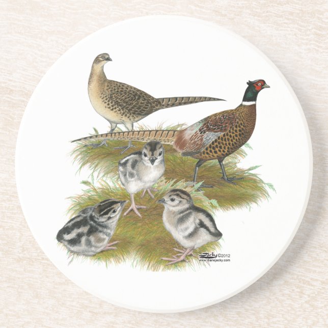 Ringneck Pheasant Family Coaster (Front)