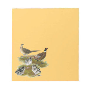 Ringneck Pheasant Family Notepad