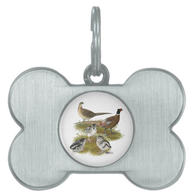Ringneck Pheasant Family Pet Tag (Front)