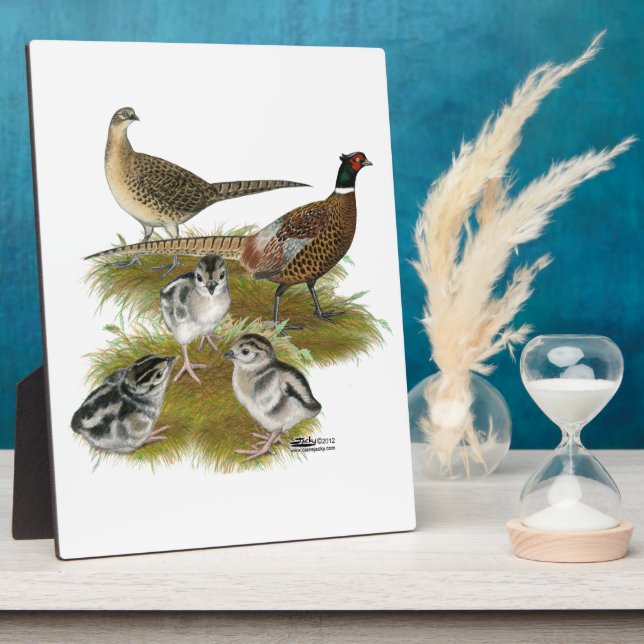 Ringneck Pheasant Family Plaque (Side)