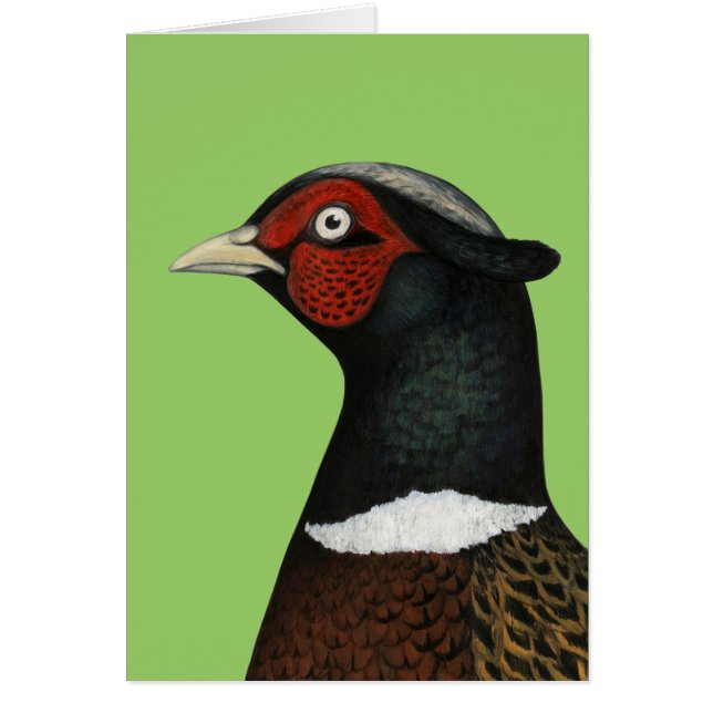 Ringneck Pheasant Head (Front)