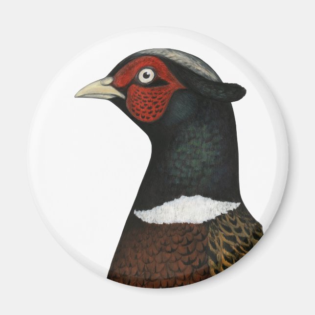 Ringneck Pheasant Head Magnet (Front)