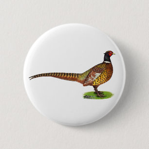 Ringneck Pheasant Rooster 6 Cm Round Badge