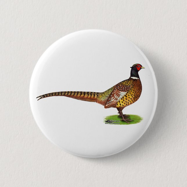 Ringneck Pheasant Rooster 6 Cm Round Badge (Front)