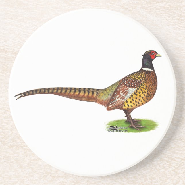 Ringneck Pheasant Rooster Coaster (Front)