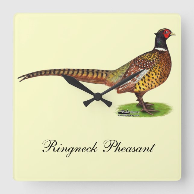 Ringneck Pheasant Rooster Square Wall Clock (Front)