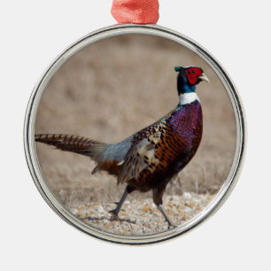 Ringnecked Pheasant Metal Tree Decoration