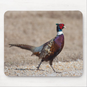 Ringnecked Pheasant Mouse Mat