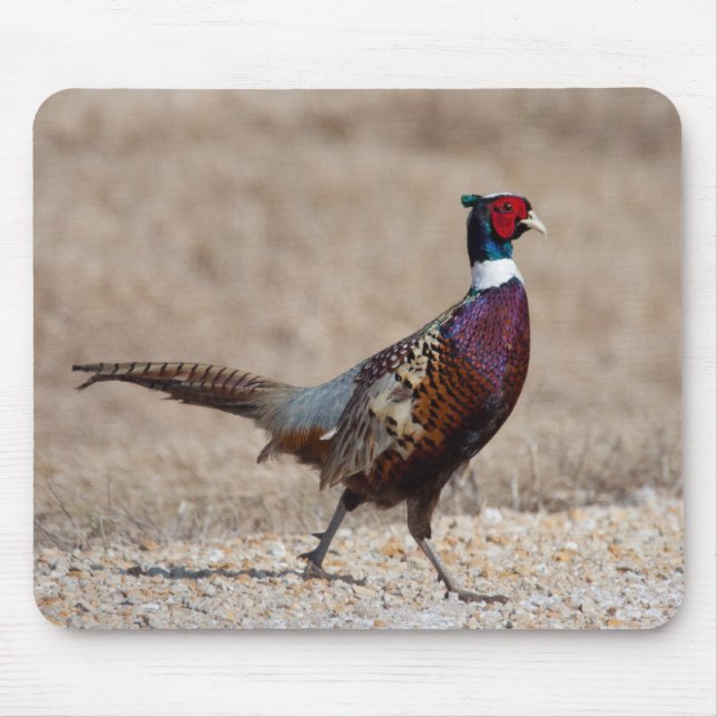 Ringnecked Pheasant Mouse Mat (Front)