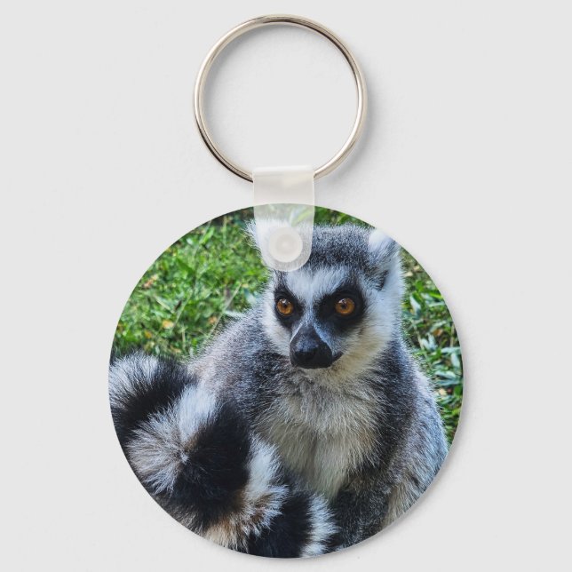 Ringtail Maki Button - Unique Animal Print Key Ring (Front)