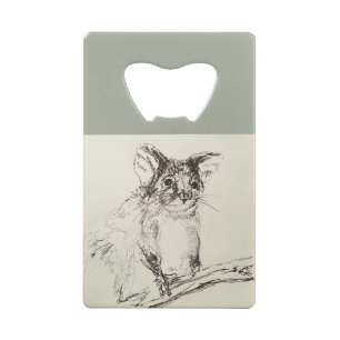 Ringtail Possum Australia