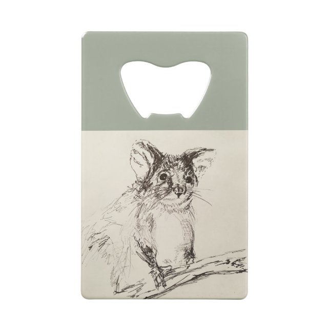 Ringtail Possum Australia (Back)