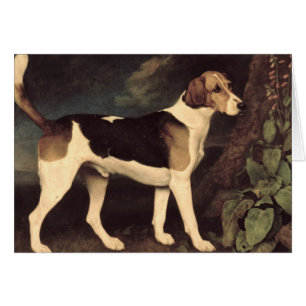 Ringwood, a Brocklesby Foxhound, 1792