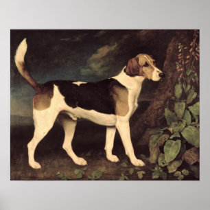 Ringwood, a Brocklesby Foxhound, 1792 Poster