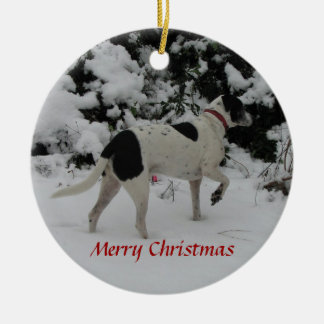 Rio Dog Snow Point Ceramic Tree Decoration