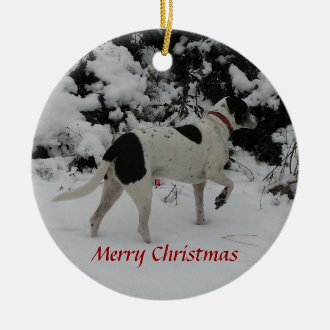 Rio Dog Snow Point Ceramic Tree Decoration (Front)