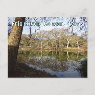 Rio Frio River Concan Texas Garner State Park Tree Postcard