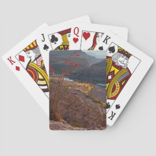 Rio Grande Running Through Chihuahuan Desert Playing Cards