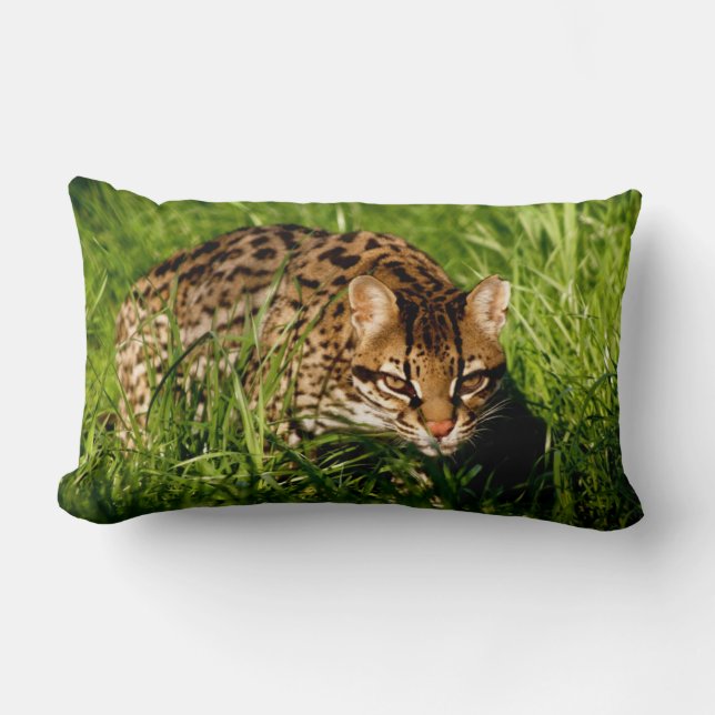 Rio the Ocelot Pillow (Front)