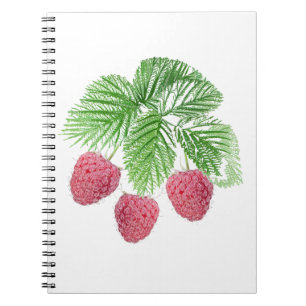Ripe, berries, raspberries notebook
