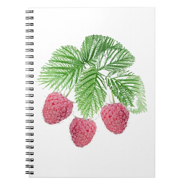 Ripe, berries, raspberries notebook (Front)
